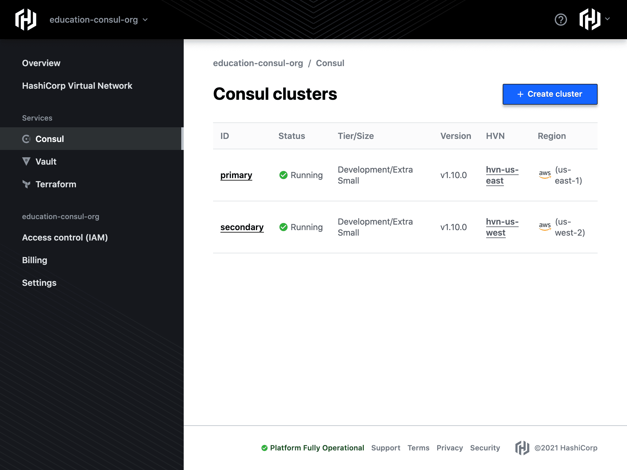 HCP Consul Dedicated Clusters